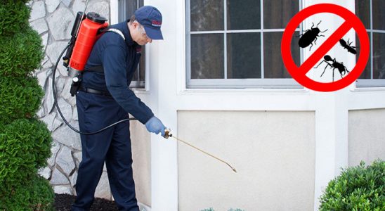 Ekinözü Bit İlaçlama böcek ilaçlama ve haşere kontrolü — ilaclama-tr.com
